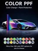 WhatsApp Image 2026-02-04 at 11.15.55 AM